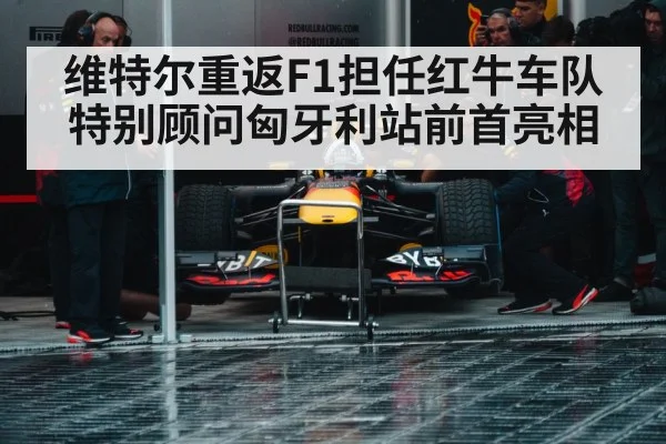 维特尔重返F1担任红牛车队特别顾问匈牙利站前首亮相